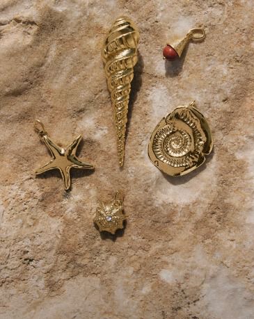 CHARMS