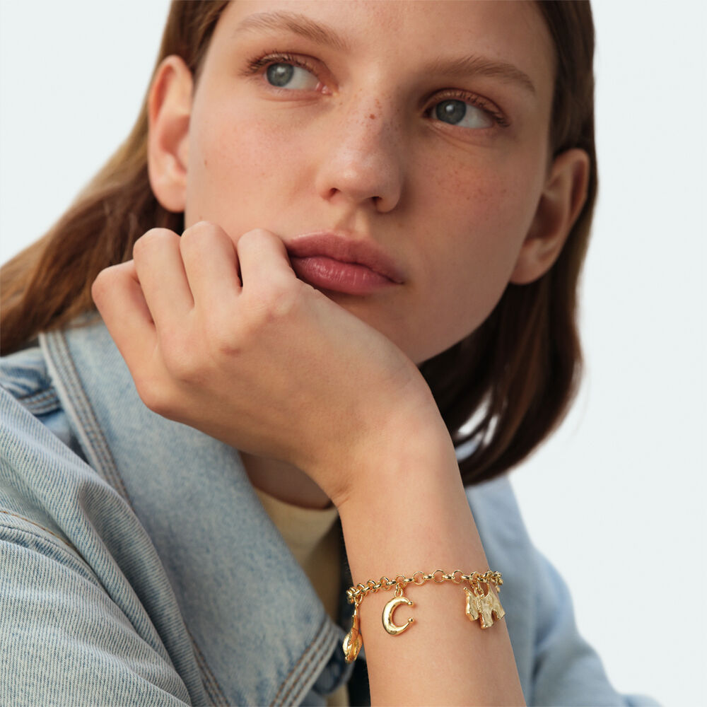 Link bracelet PANGEA - Golden - Bracelets  | Agatha