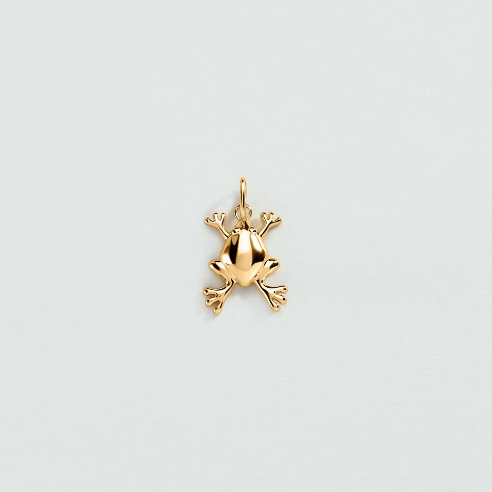 Pendant FROG - Golden - All charms  | Agatha