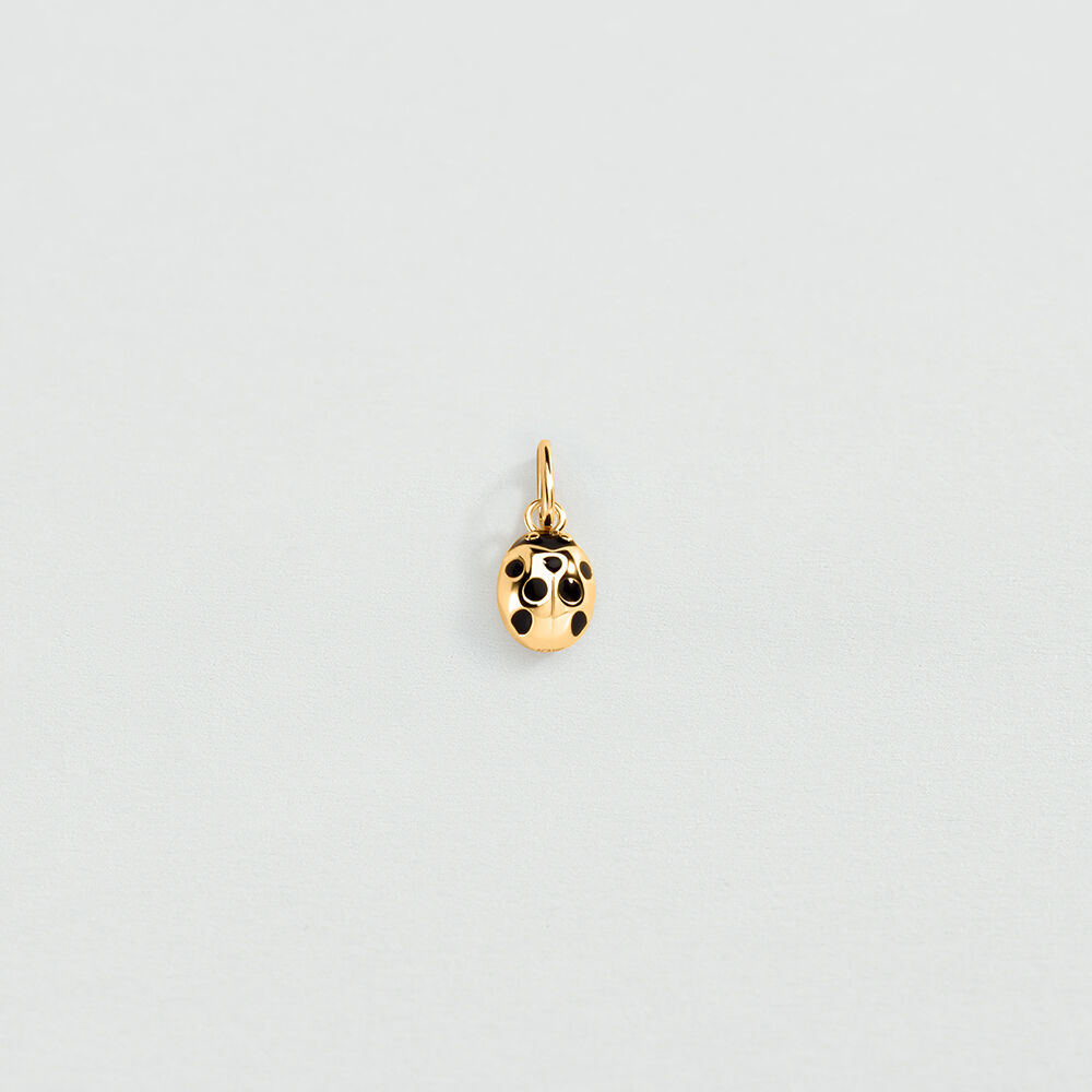 Pendant LADYBUG - Black / Gold - All charms  | Agatha