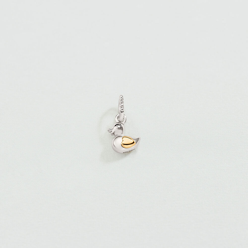 Pendant TALISMANS - Crystal / Silver - All Talismans  | Agatha