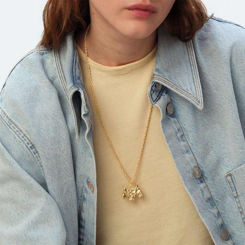 Pendant PANGEA - Crystal / Golden - Pangea  | Agatha