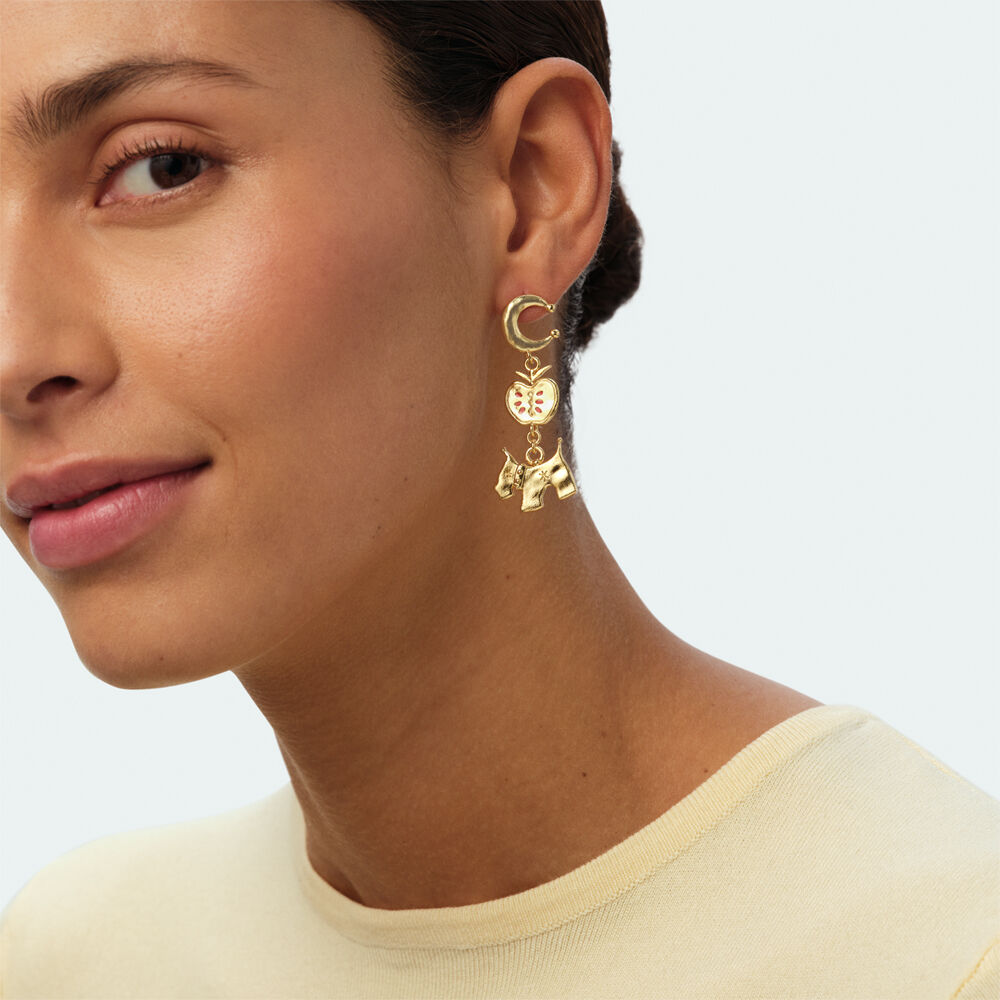 Hoops PANGEA - Golden / Multicolor - Earrings  | Agatha