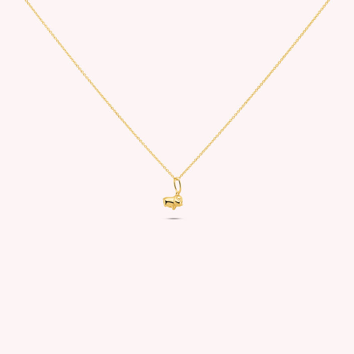 Choker necklace PIGGY - Golden - All jewellery  | Agatha