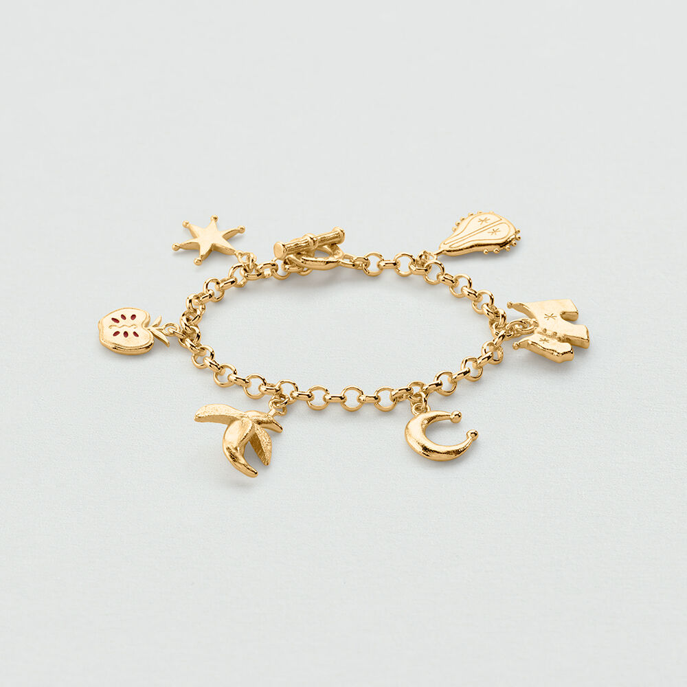 Link bracelet PANGEA - Golden - Bracelets  | Agatha