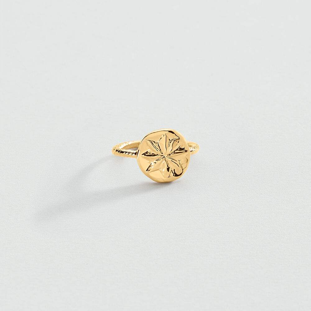 Thin ring PONT DES ARTS - Golden - Atelier parisien  | Agatha