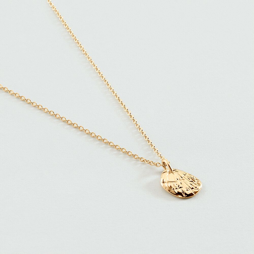 Choker necklace ASTREE - Golden - Choker necklace  | Agatha