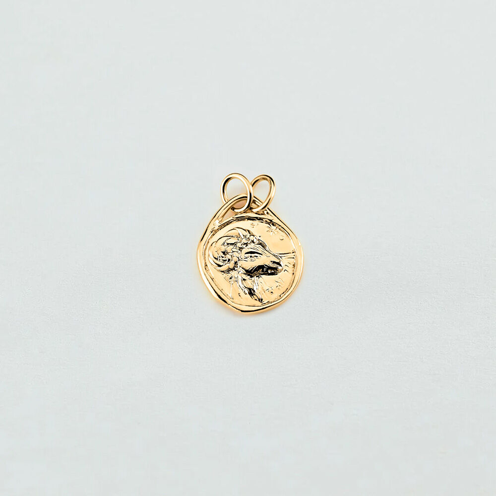 Pendant ARIES ZODIAC - Golden - Jewellery  | Agatha