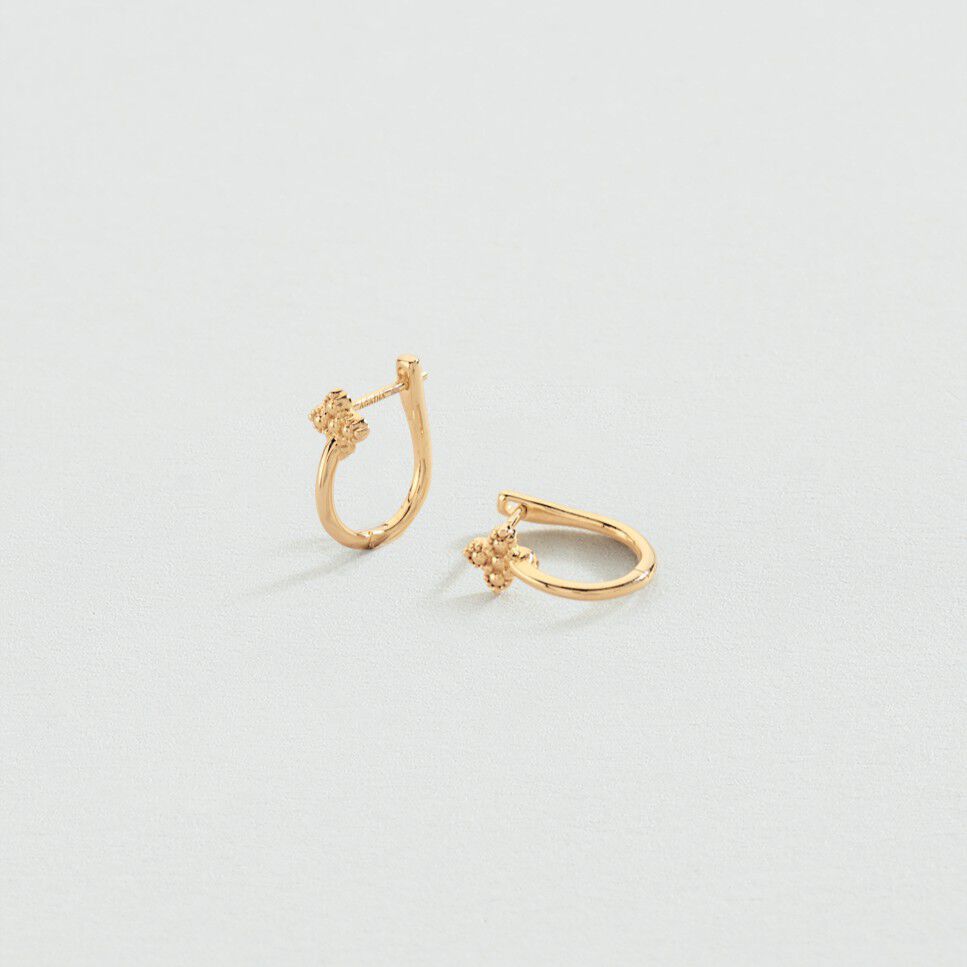 Hoops BELOVED - Crystal / Golden - Beloved  | Agatha