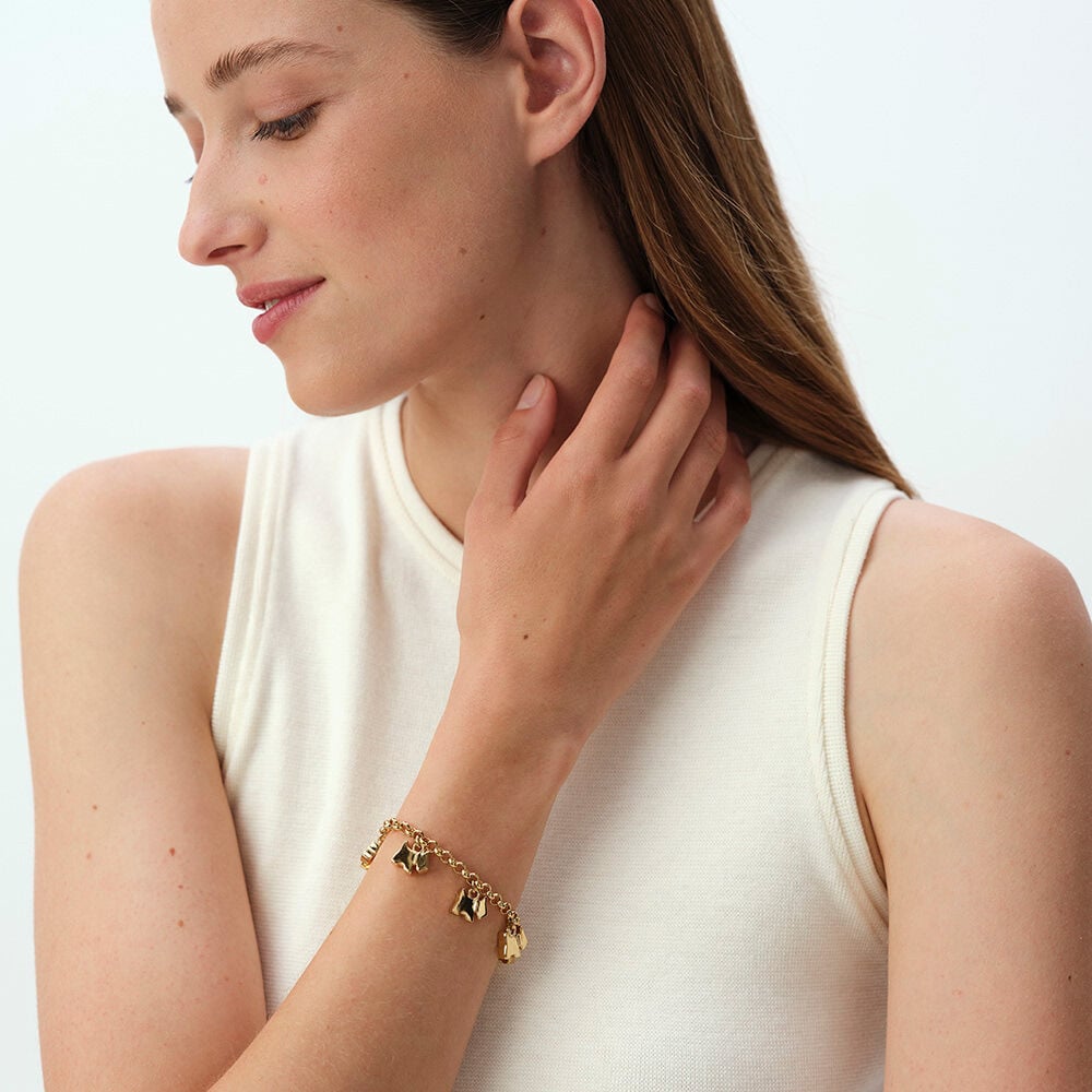 Link bracelet PONT DES ARTS - Golden - Atelier parisien  | Agatha