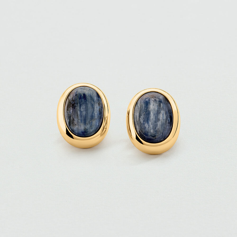 Long earrings LA RIVIERA - Blue / Gold - Earrings  | Agatha