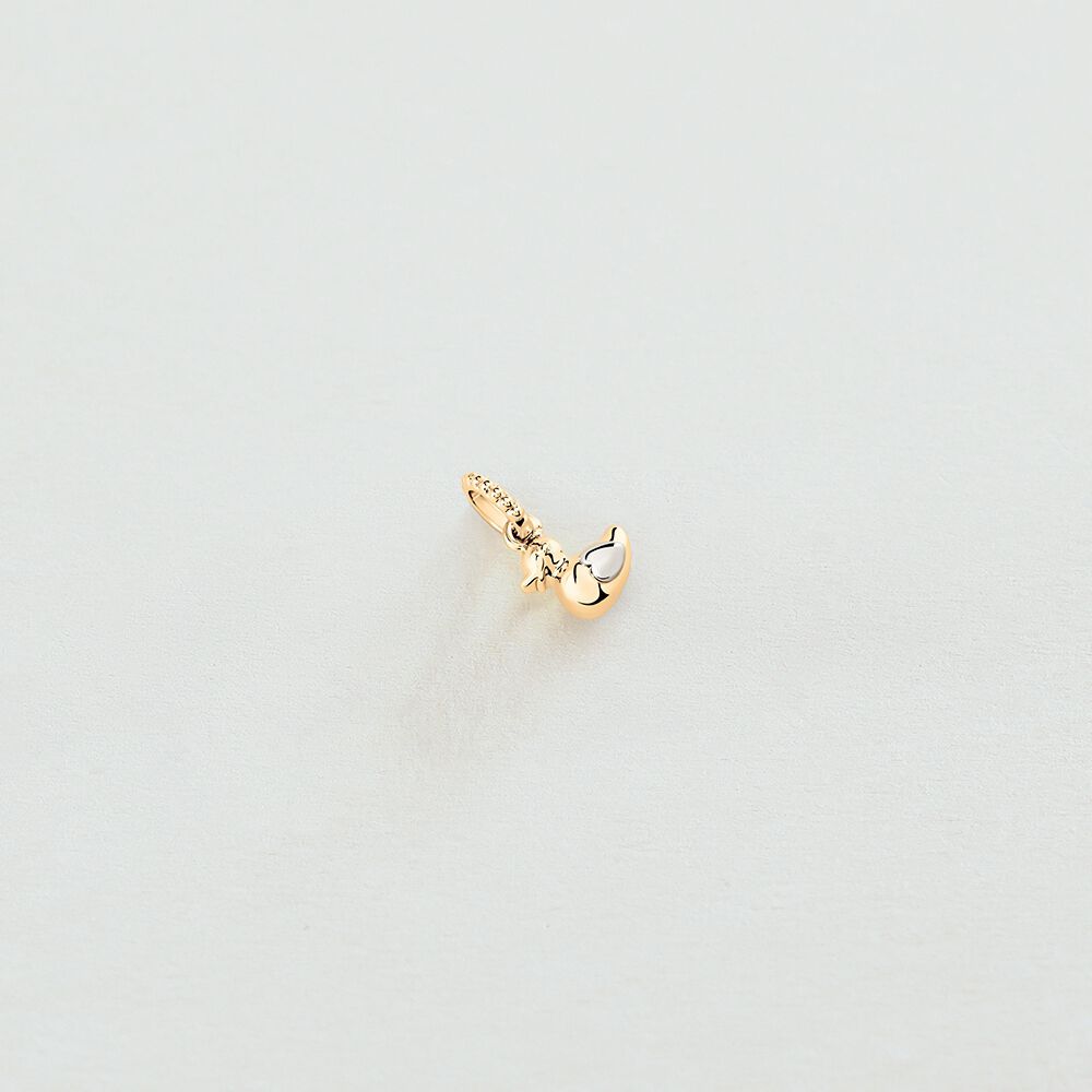 Pendant TALISMANS - Gold / Silver - All Talismans  | Agatha