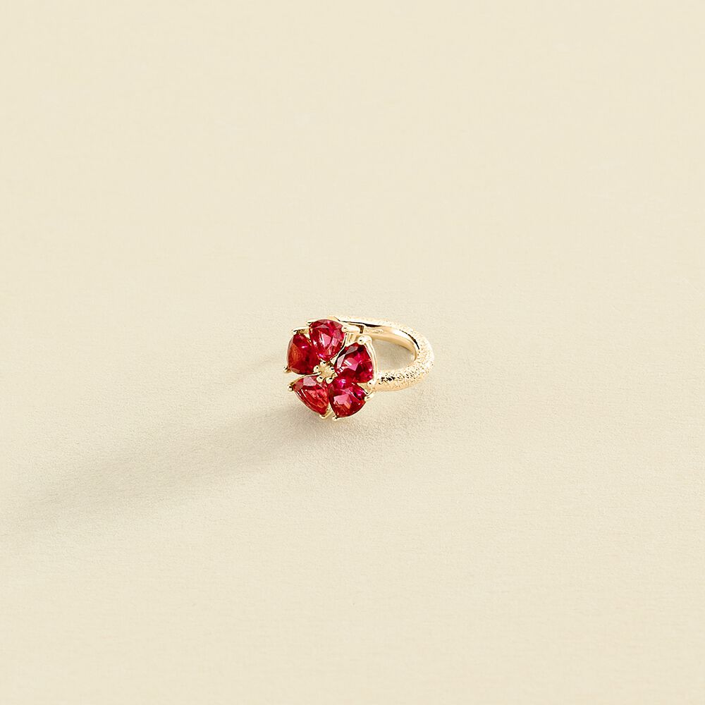 Hoop piercing STUNNING - Pink / Gold - All jewellery  | Agatha