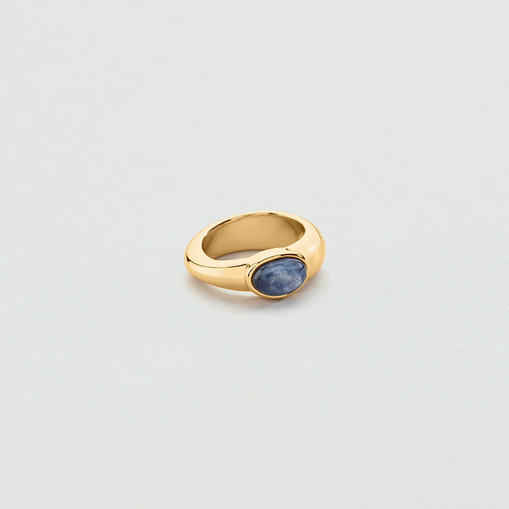 Thin ring LA RIVIERA - Blue / Gold - Rings  | Agatha