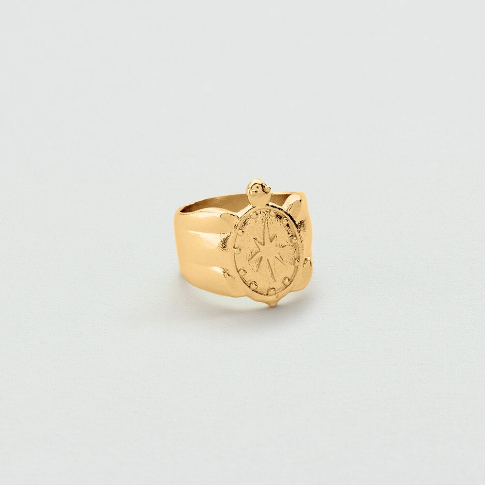 Large ring PANGEA - Golden - Large ring  | Agatha