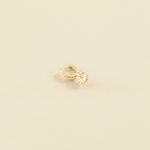 Hoop piercing EAR3DAISY - Silver / Gold - All jewellery  | Agatha