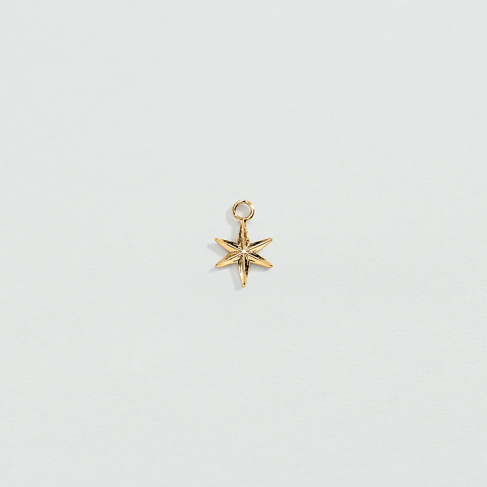 Pendant HOOP EARRINGS STAR - Golden - All charms  | Agatha