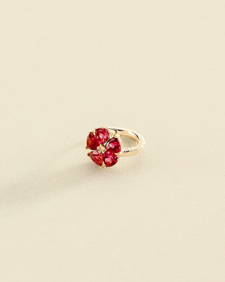 Hoop piercing STUNNING - Pink / Gold - All jewellery  | Agatha