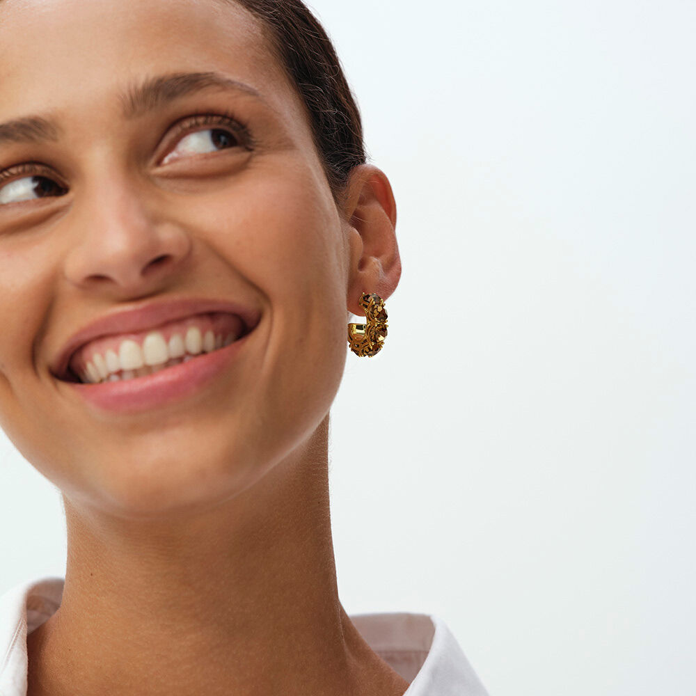 Hoops LUTETIA - Brown / Gold - Earrings  | Agatha